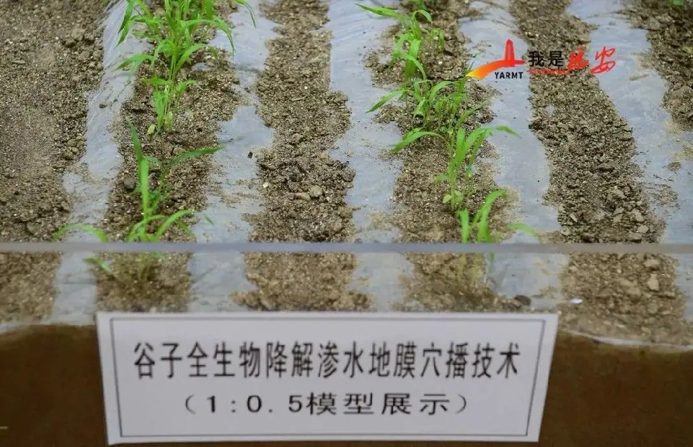 科技部：全生物降解滲水地膜旱作技術(shù)示范推廣成效良好