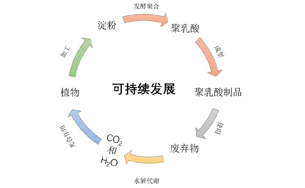 日本首次，100%聚乳酸長絲商業(yè)化應(yīng)用