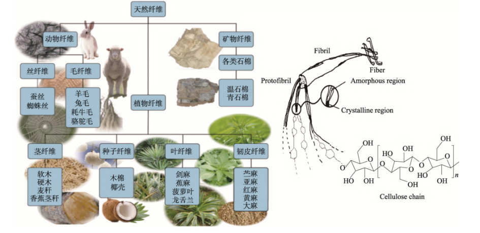 聚乳酸及天然纖維素特點(diǎn)