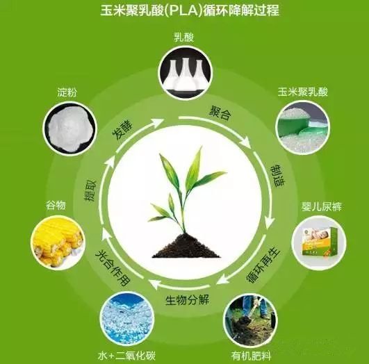 連PLA材質(zhì)都禁止？看看臺(tái)灣的禁塑措施